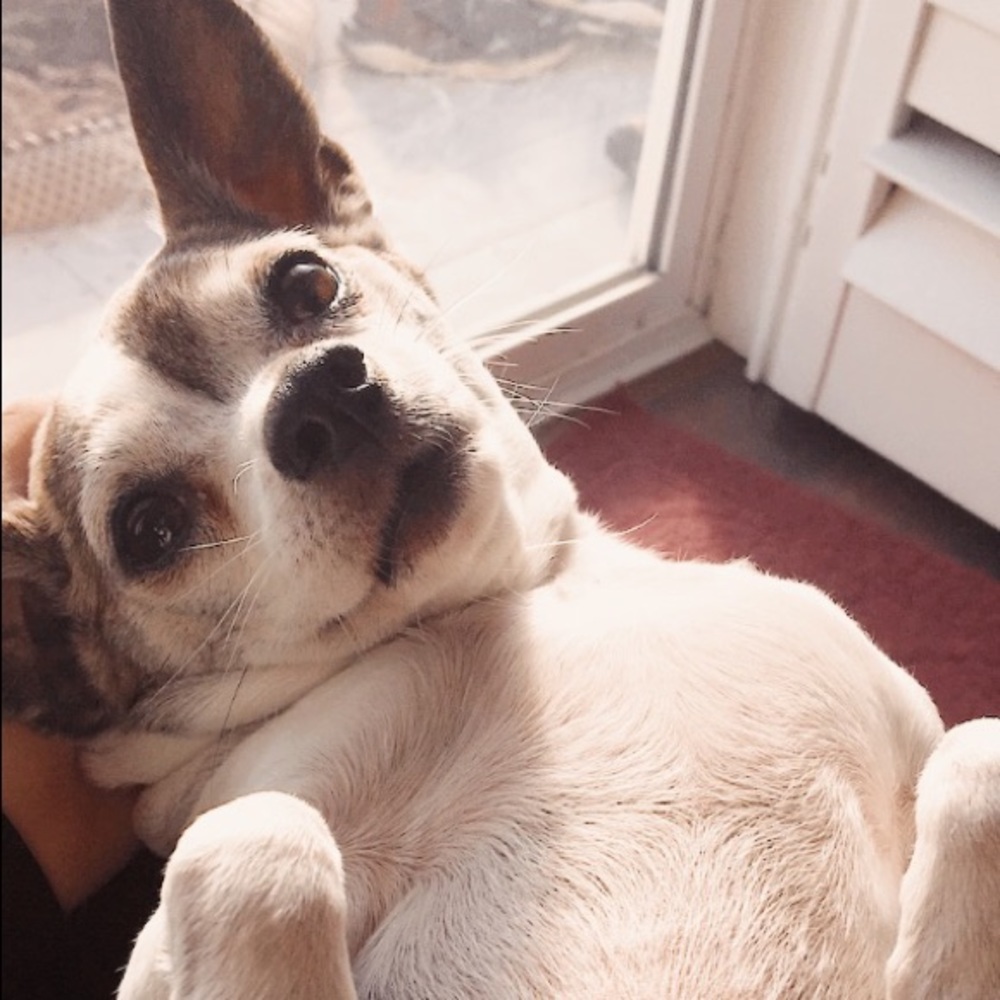 Meet your Posher, Ellie